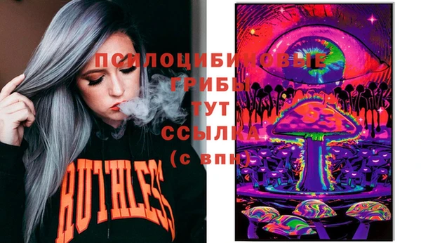 хмурый Нея