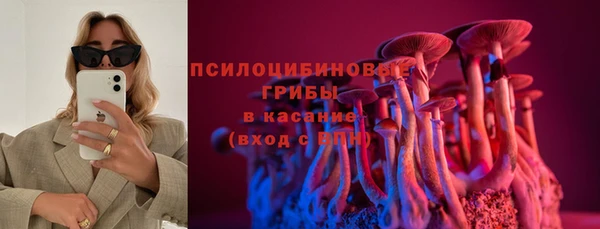 хмурый Нея
