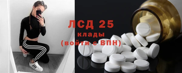 хмурый Нея