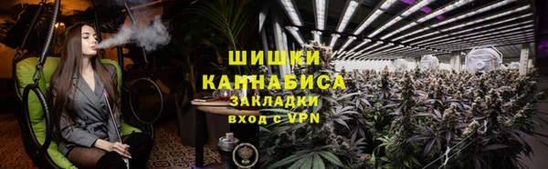 ПСИЛОЦИБИНОВЫЕ ГРИБЫ Надым