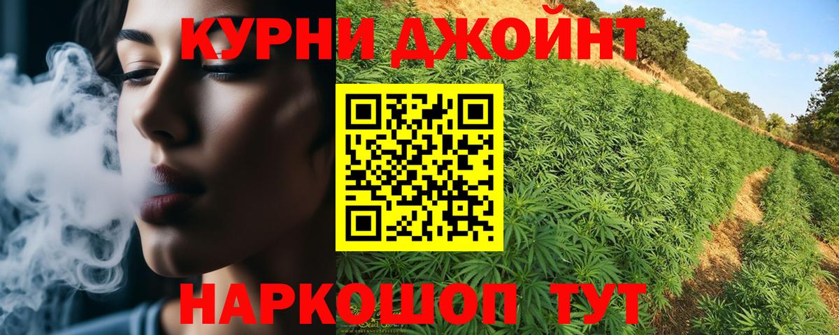 Канабис планчик  Вход с VPN  Саки  Каннабис сатива  Конопля THC 21% 